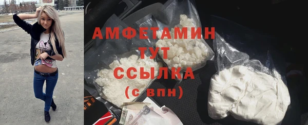 трава Аркадак