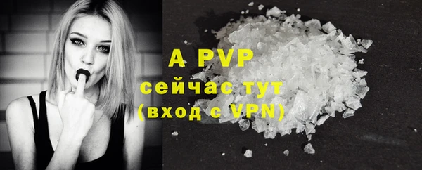 крисы Армянск