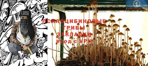 крисы Армянск
