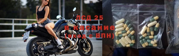 трава Аркадак