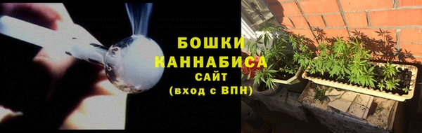 ешки Арсеньев