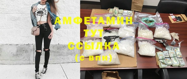 трава Аркадак