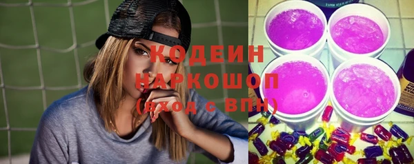 ешки Арсеньев