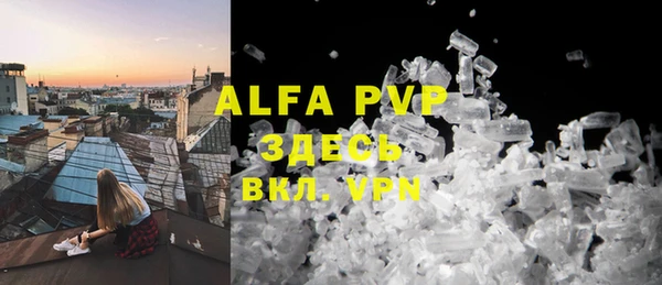 ешки Арсеньев